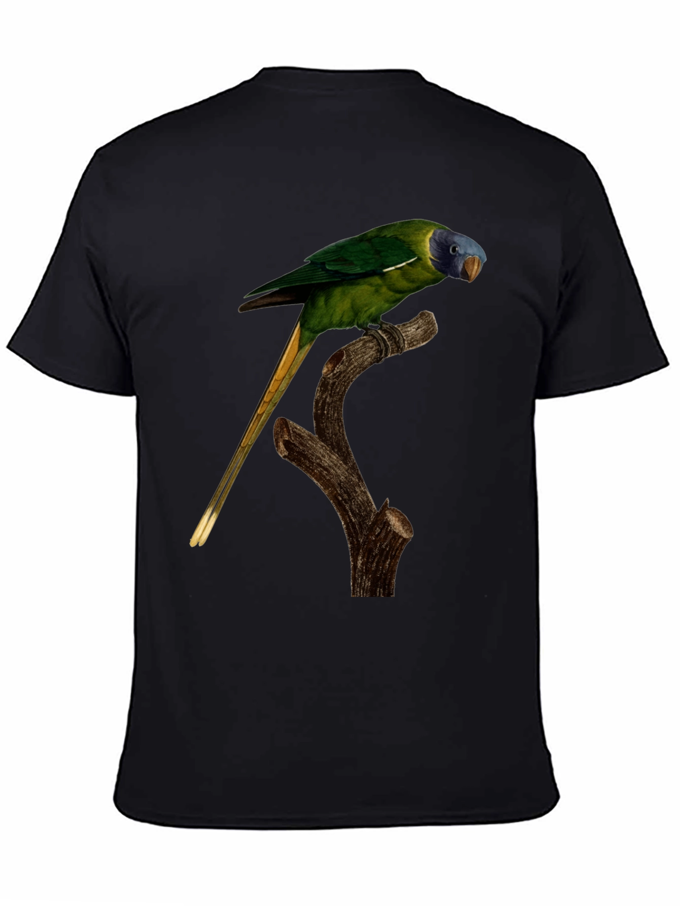 Parrot Graphic T-Shirt - Nature Lover Tee