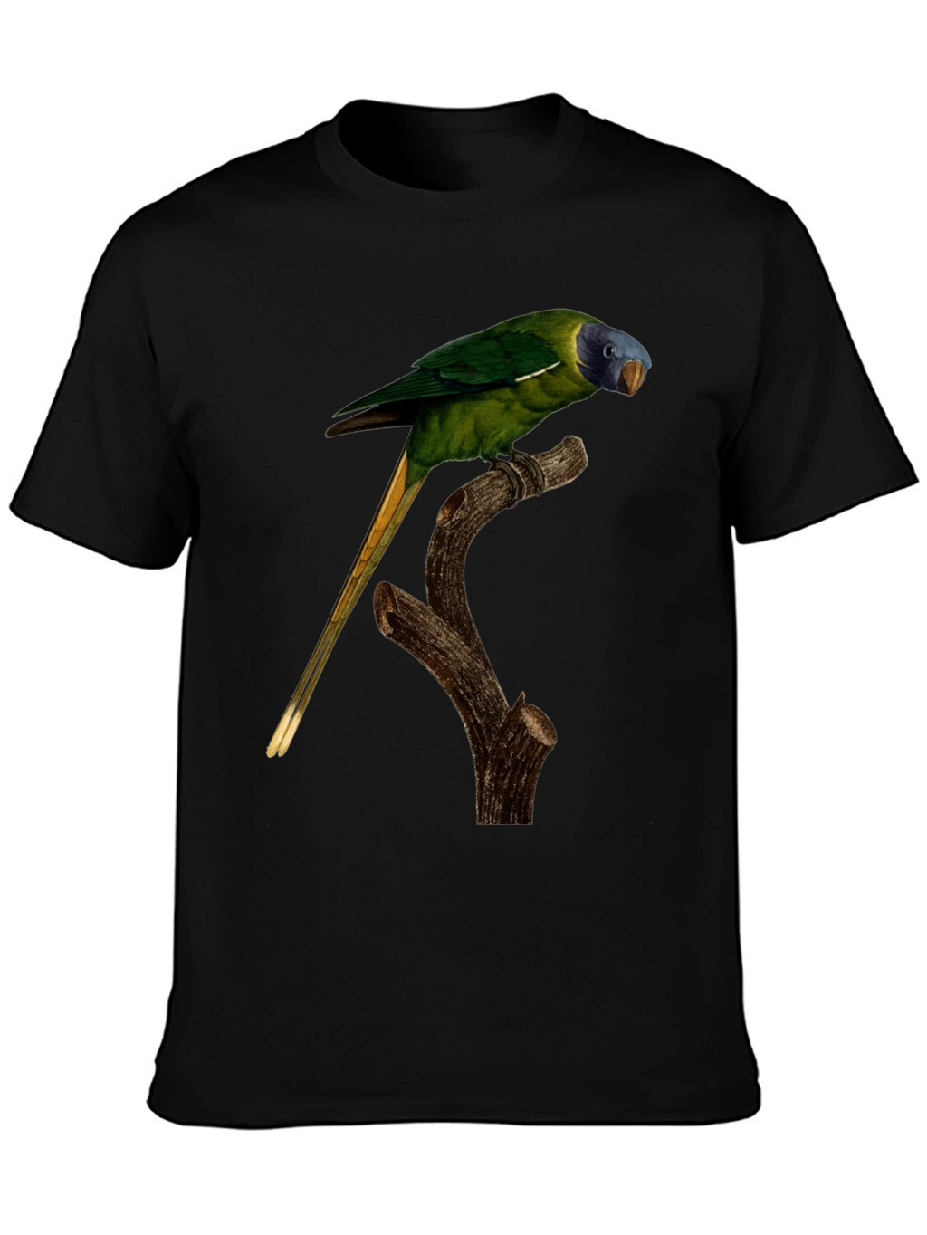 Parrot Graphic T-Shirt - Nature Lover Tee