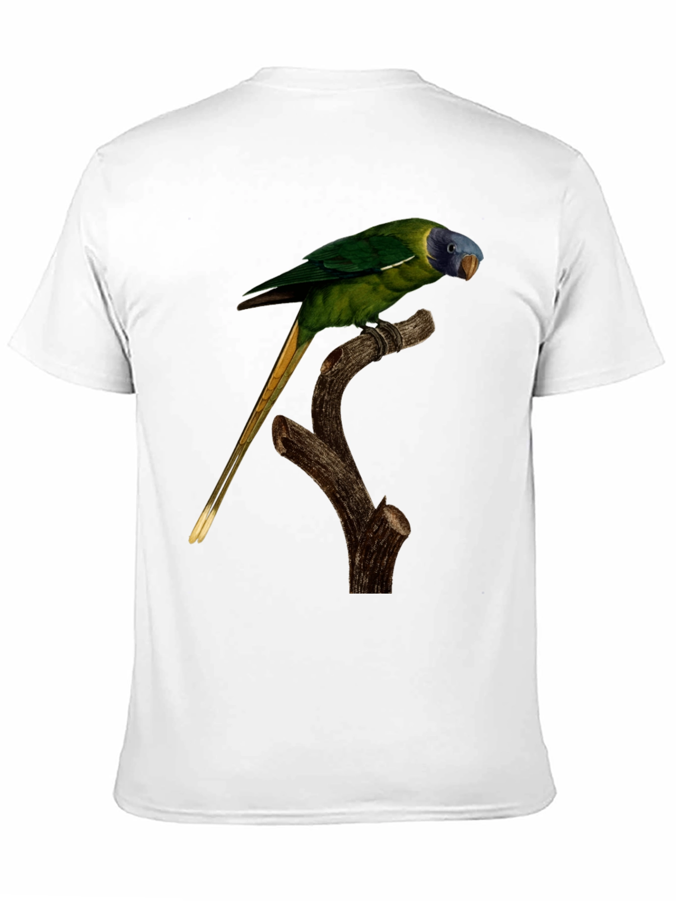 Parrot Graphic T-Shirt - Nature Lover Tee