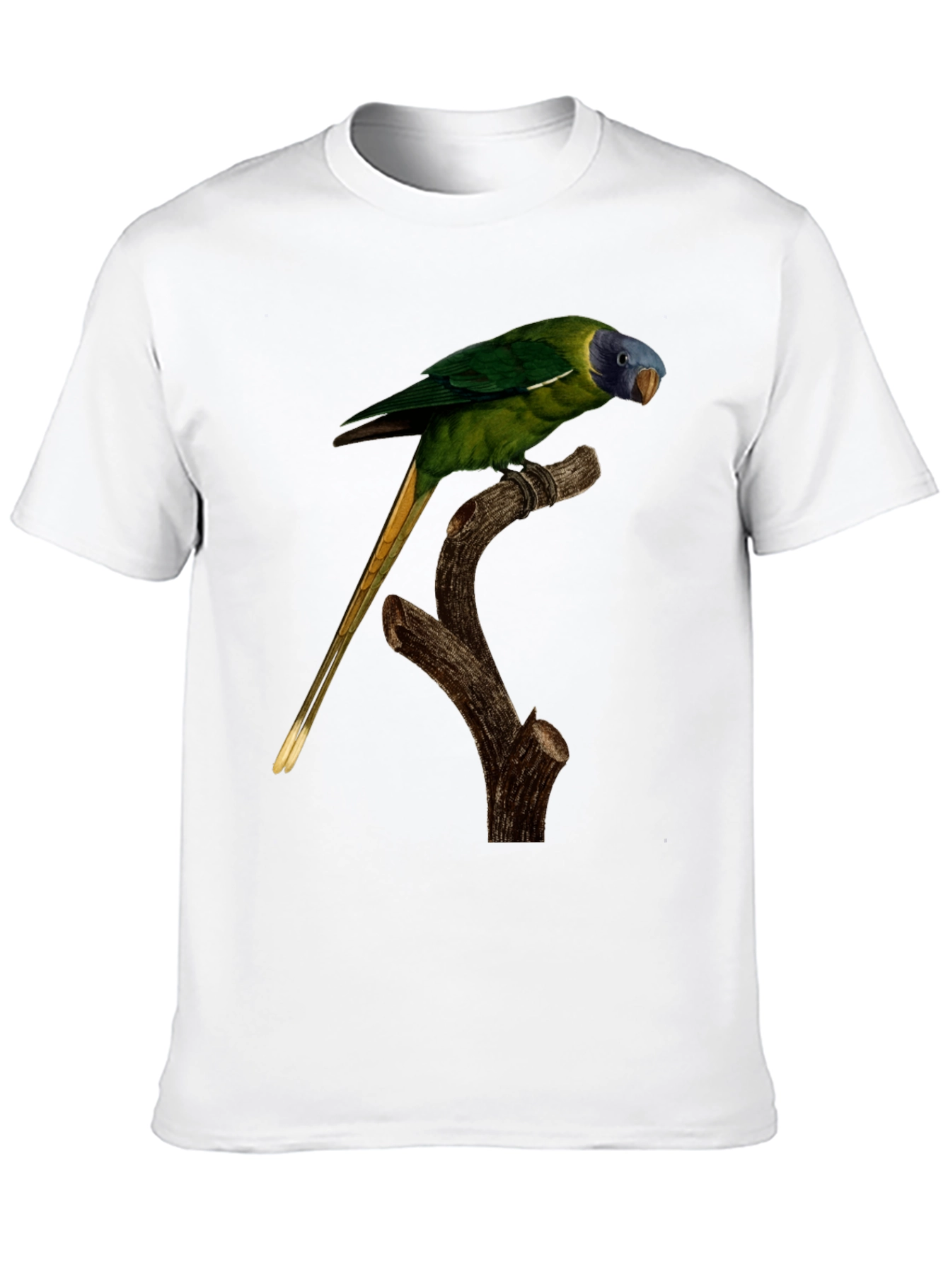 Parrot Graphic T-Shirt - Nature Lover Tee