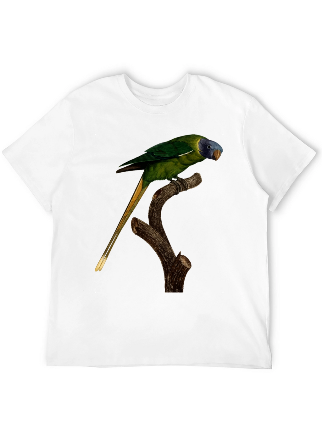 Parrot Graphic T-Shirt - Nature Lover Tee