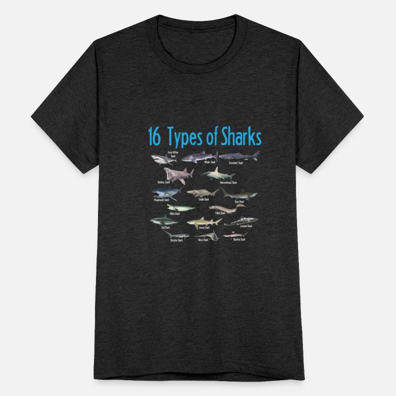 16 Types Of Shark Save The Shark Great White Shark