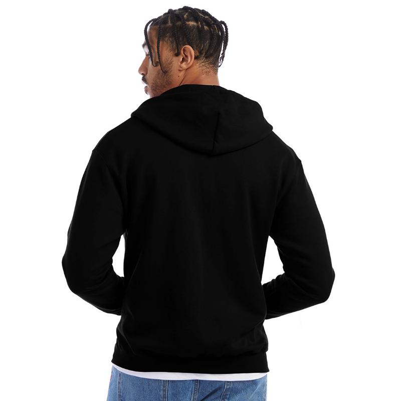 3 Colorful Cacti Three Cactus Prickly Desert Plant