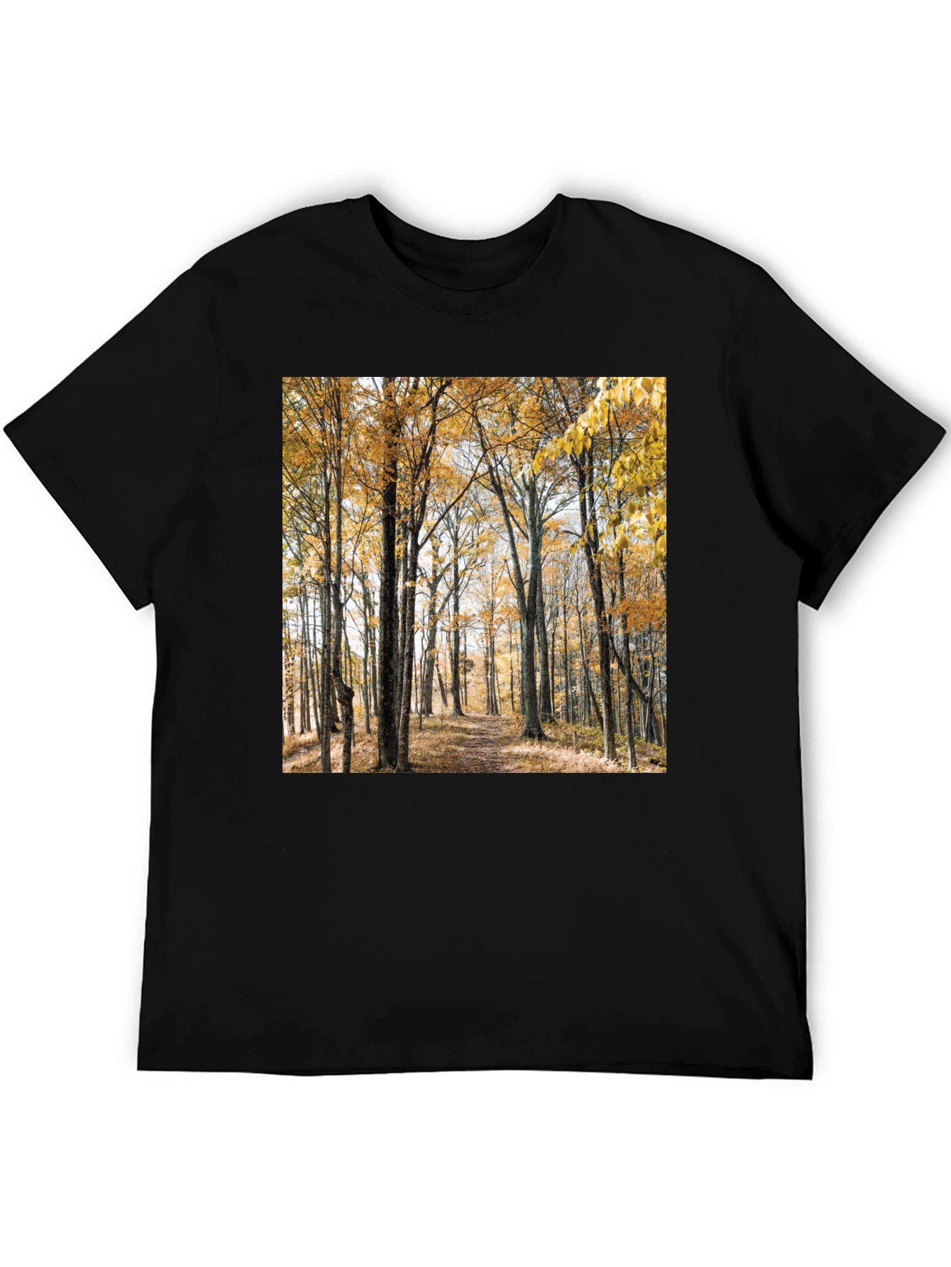 Autumn Forest Print T-Shirt