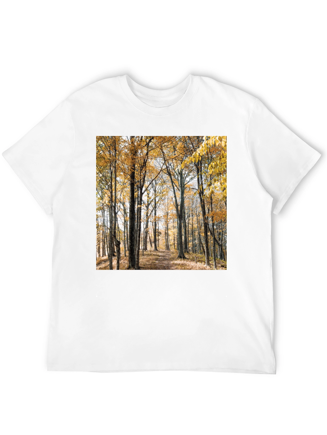 Autumn Forest Print T-Shirt