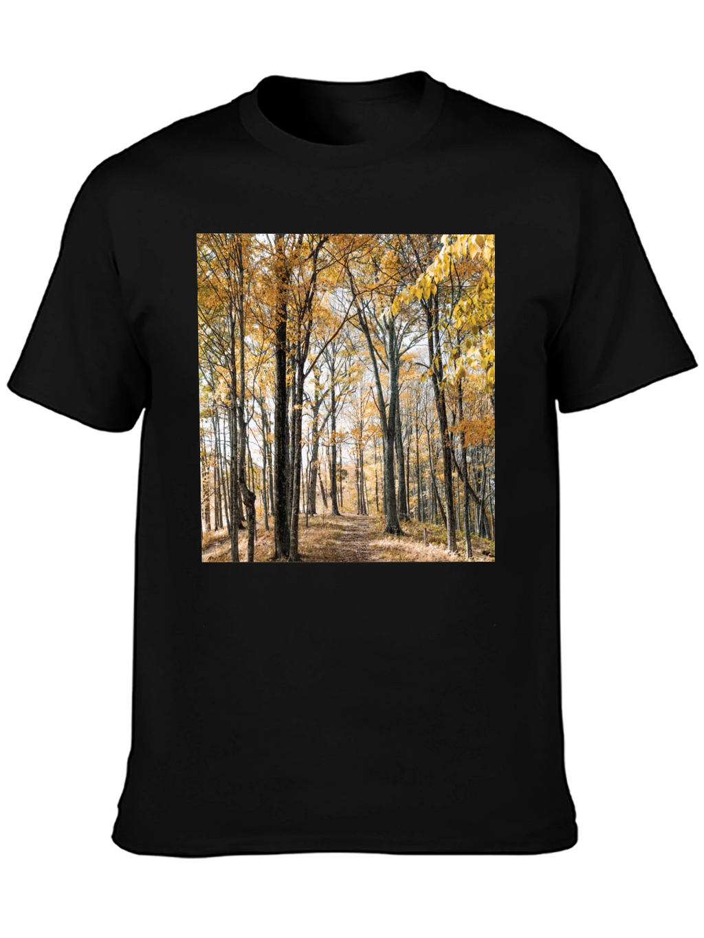 Autumn Forest Print T-Shirt