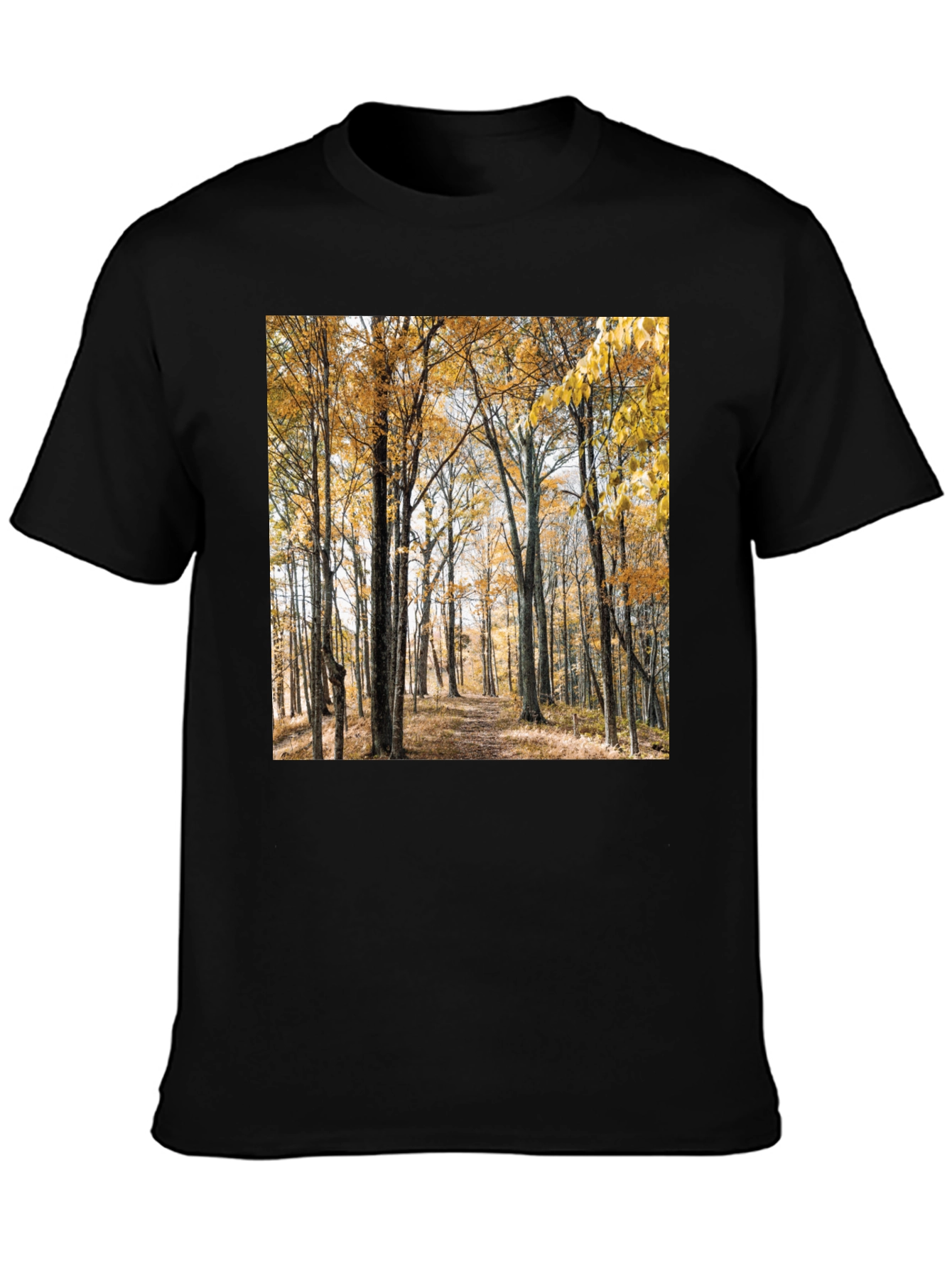Autumn Forest Print T-Shirt
