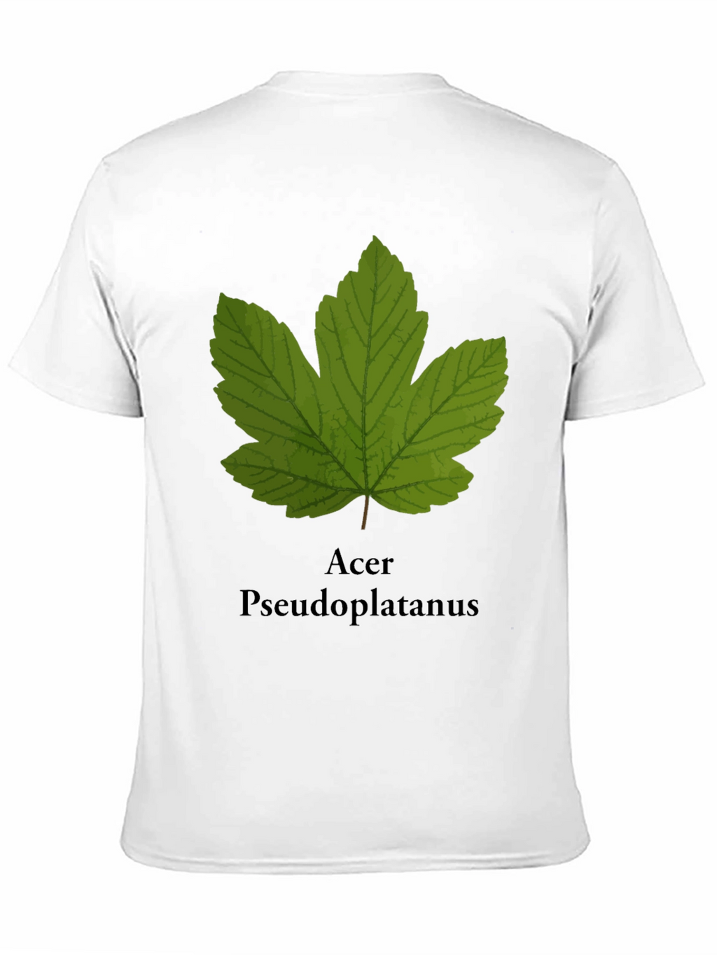 Maple Leaf Acer T-Shirt - Nature Botanical Tee