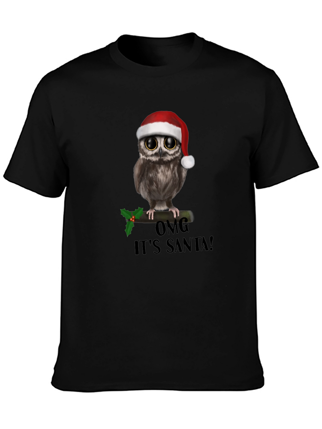 Christmas Owl T-Shirt: OMG Its Santa!
