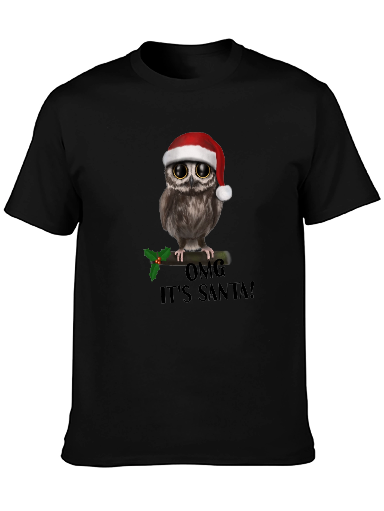 Christmas Owl T-Shirt: OMG Its Santa!