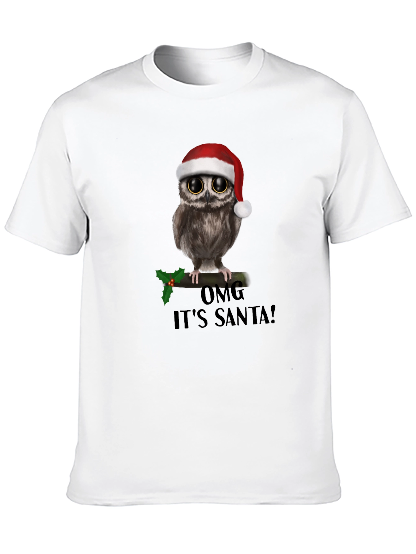 Christmas Owl T-Shirt: OMG Its Santa!