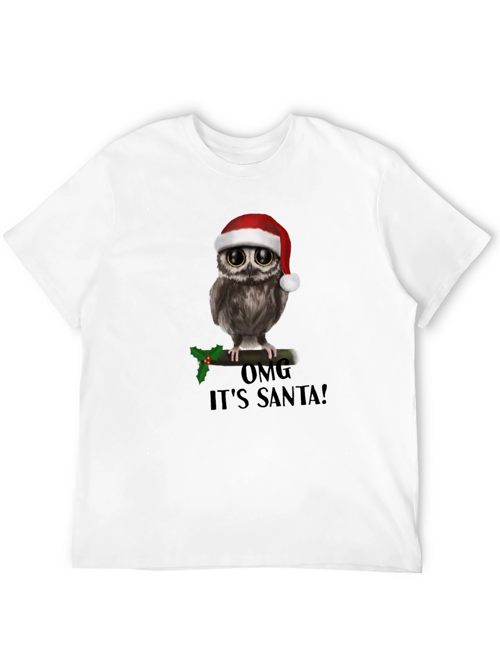 Christmas Owl T-Shirt: OMG Its Santa!