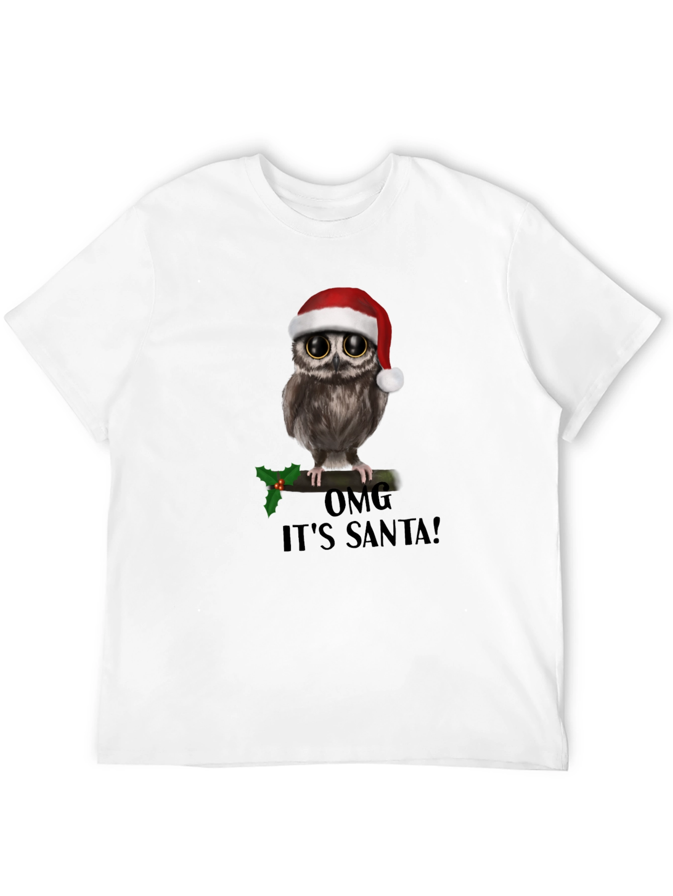 Christmas Owl T-Shirt: OMG Its Santa!