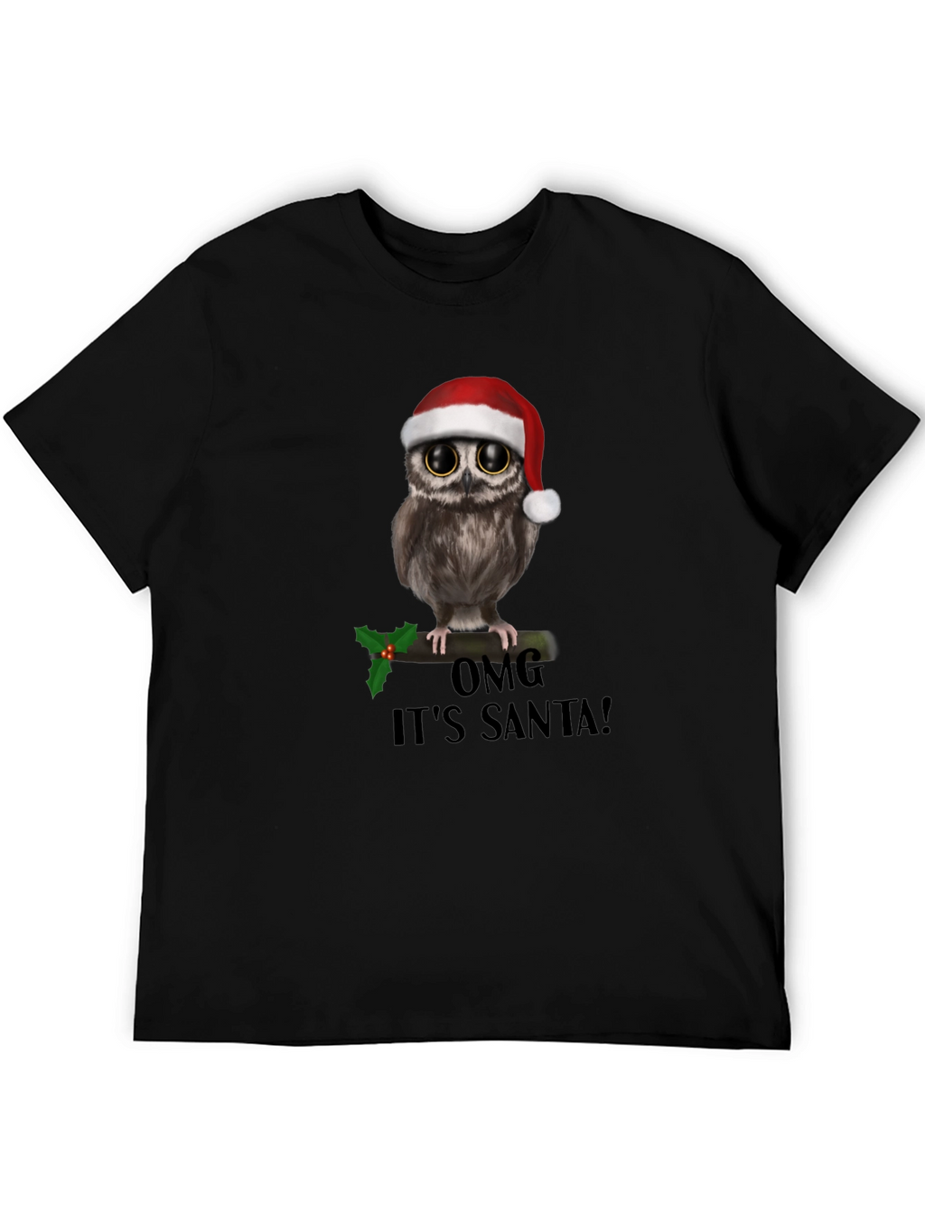 Christmas Owl T-Shirt: OMG Its Santa!