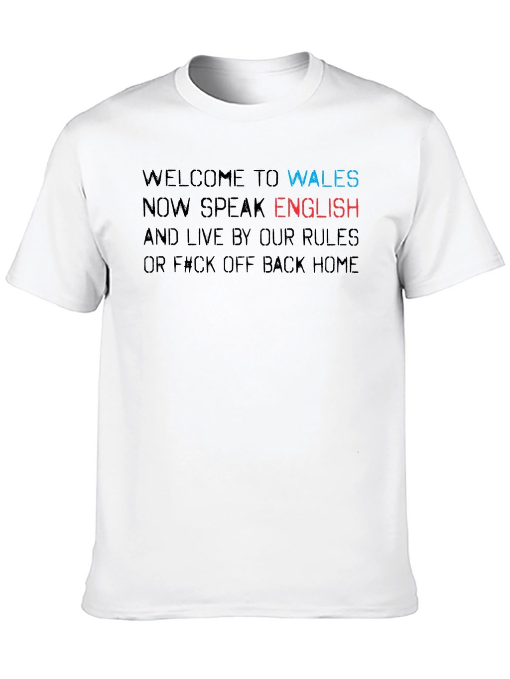 Welcome to Wales Novelty T-Shirt
