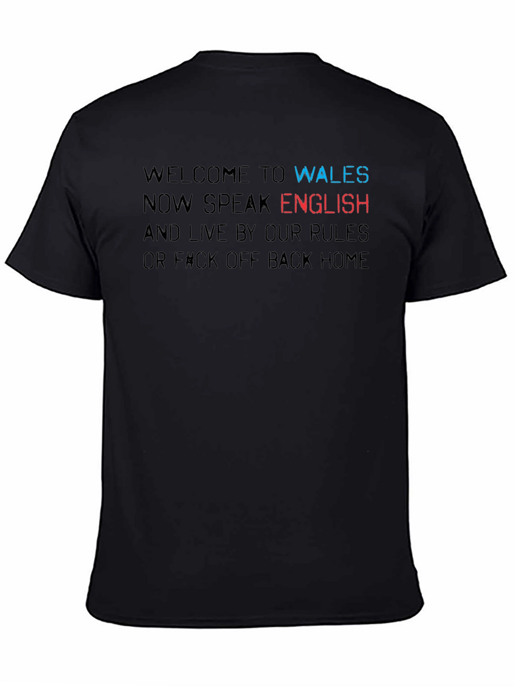 Welcome to Wales Novelty T-Shirt