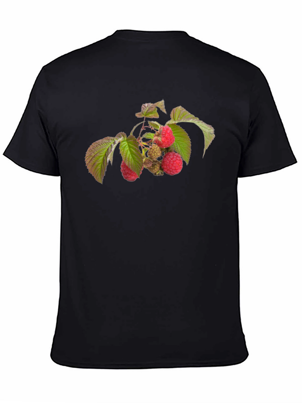Raspberry Branch Graphic Black T-Shirt