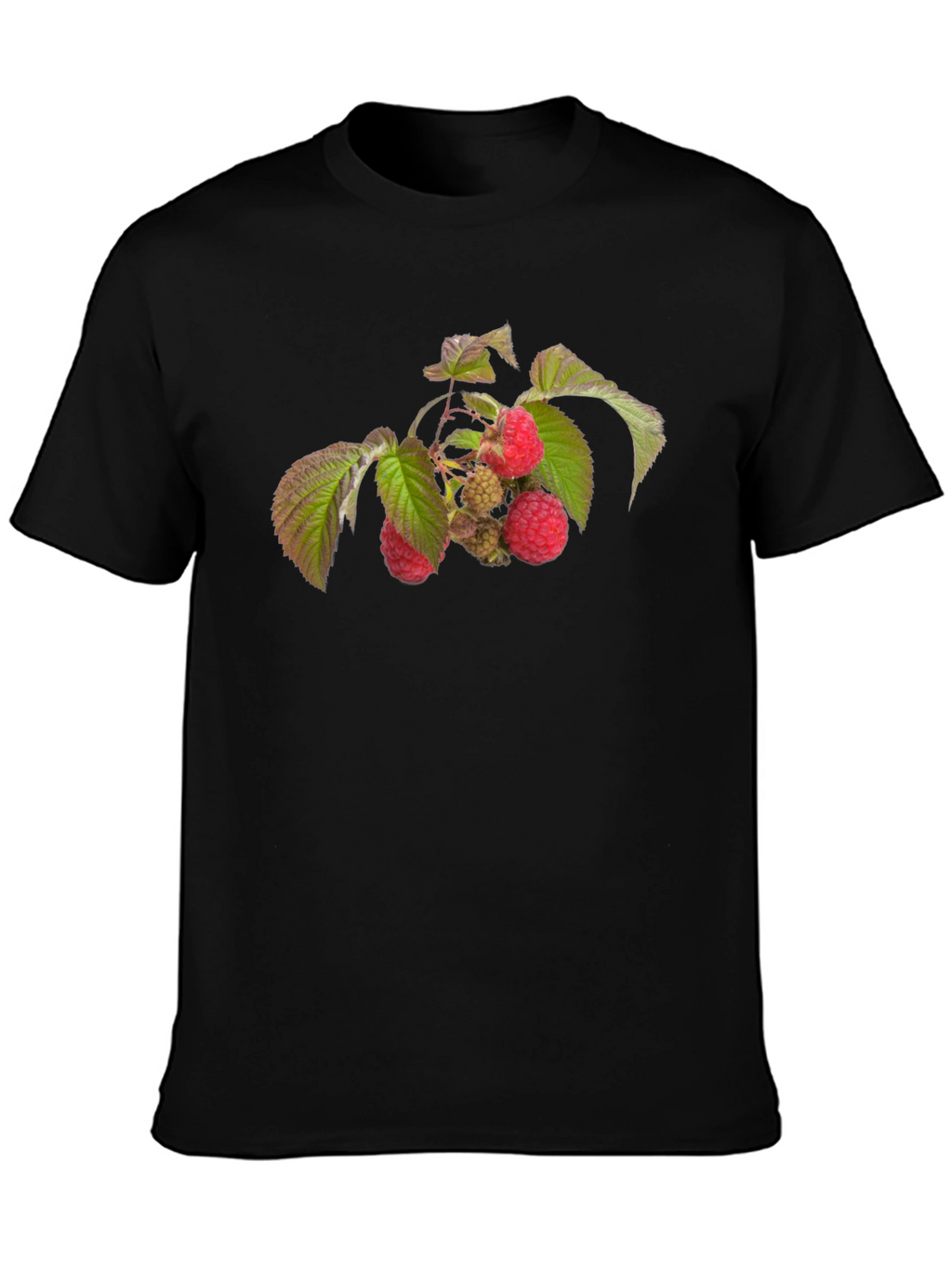 Raspberry Branch Graphic Black T-Shirt