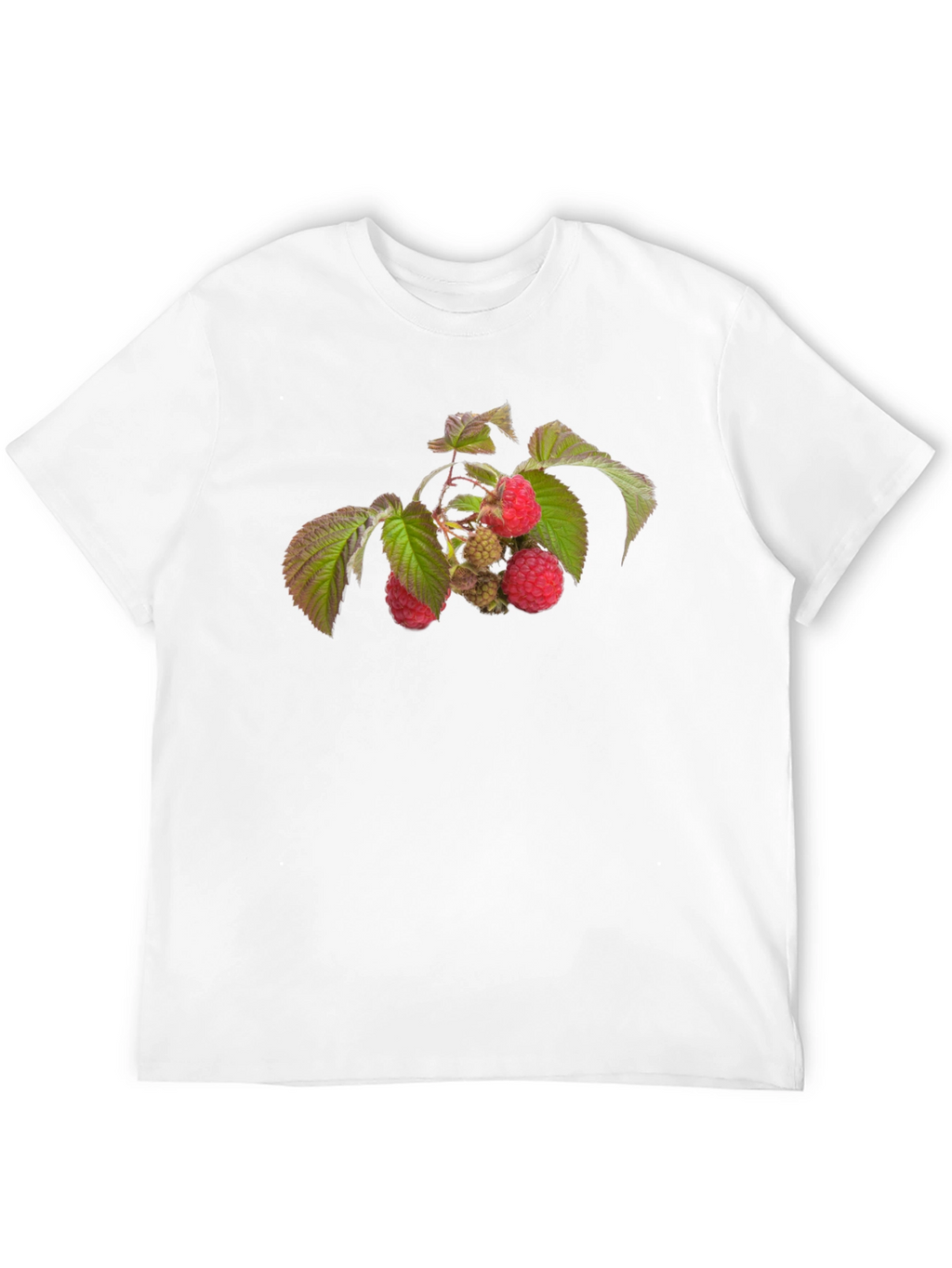Raspberry Branch Graphic Black T-Shirt
