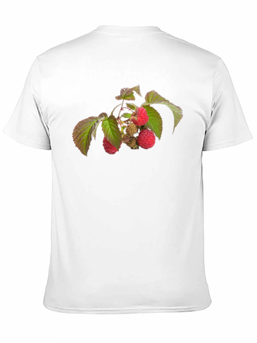 Raspberry Branch Graphic Black T-Shirt