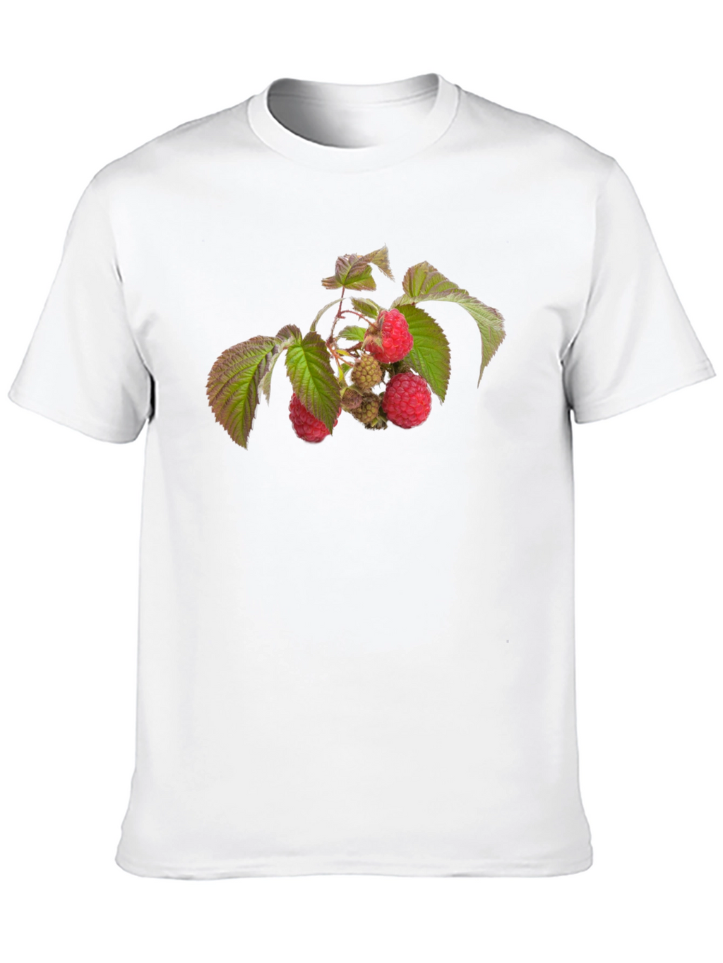 Raspberry Branch Graphic Black T-Shirt