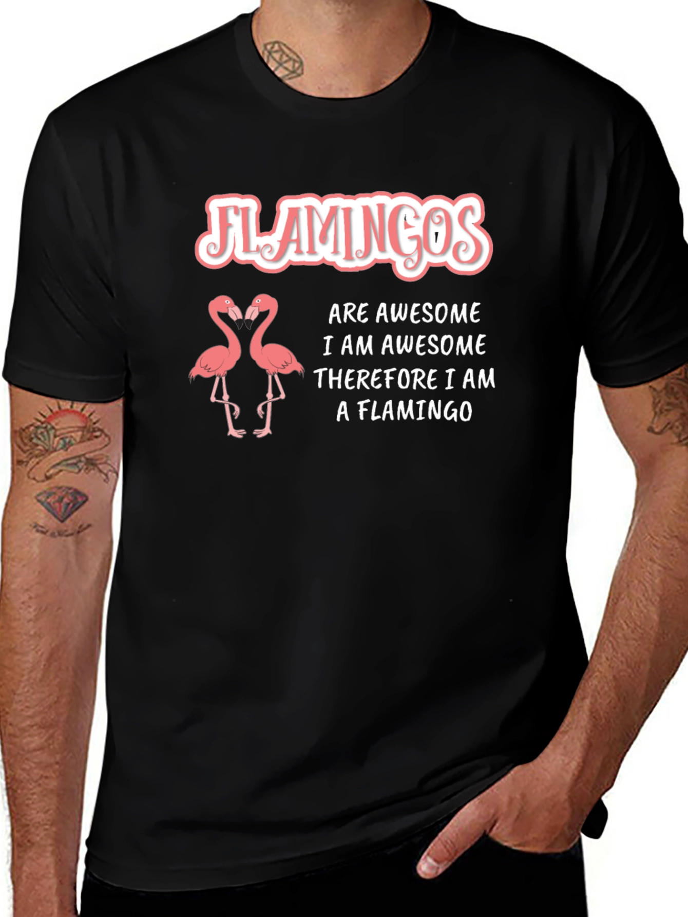 Flamingos Are Awesome T-Shirt - Funny Flamingo Tee