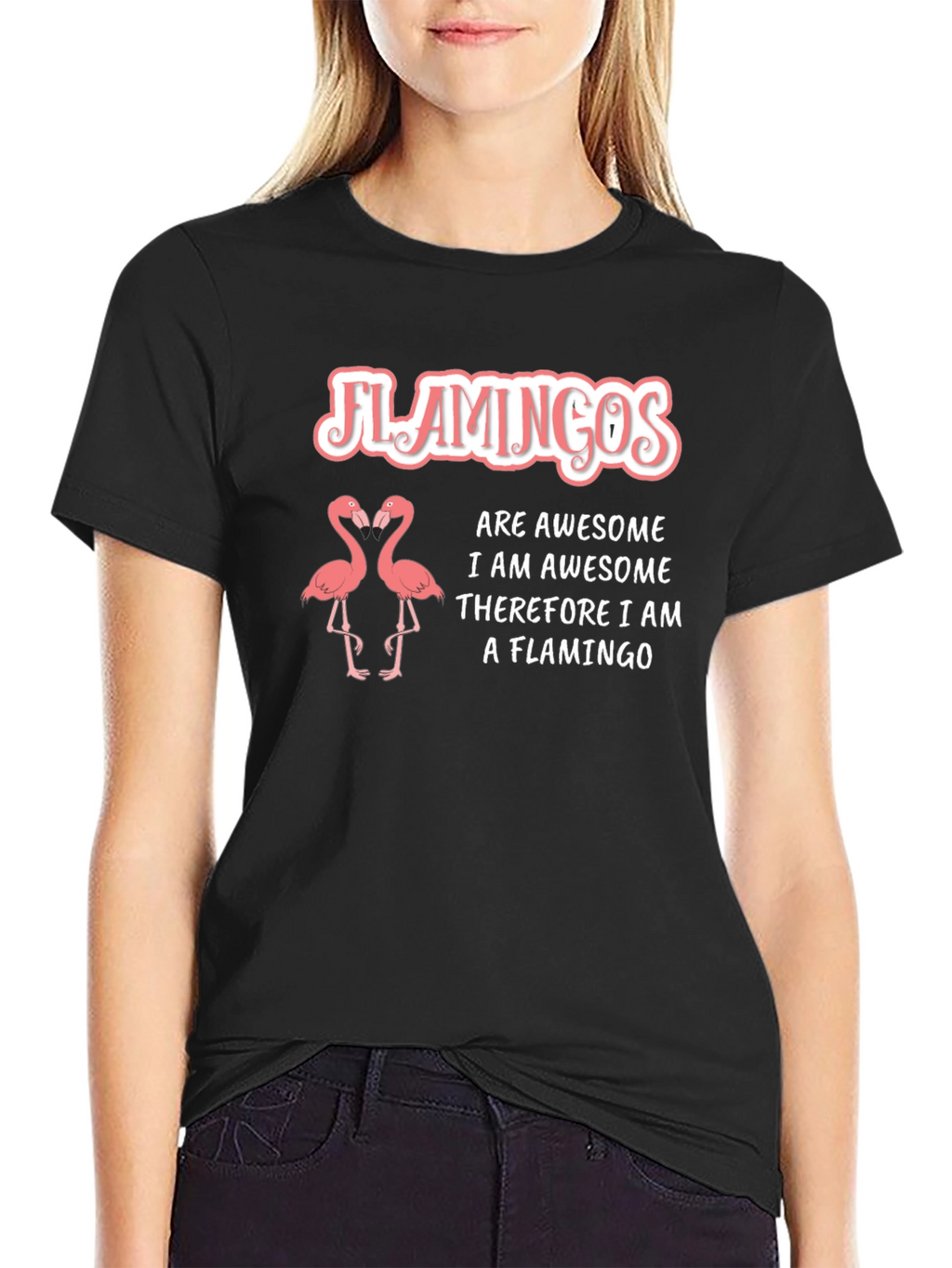 Flamingos Are Awesome T-Shirt - Funny Flamingo Tee