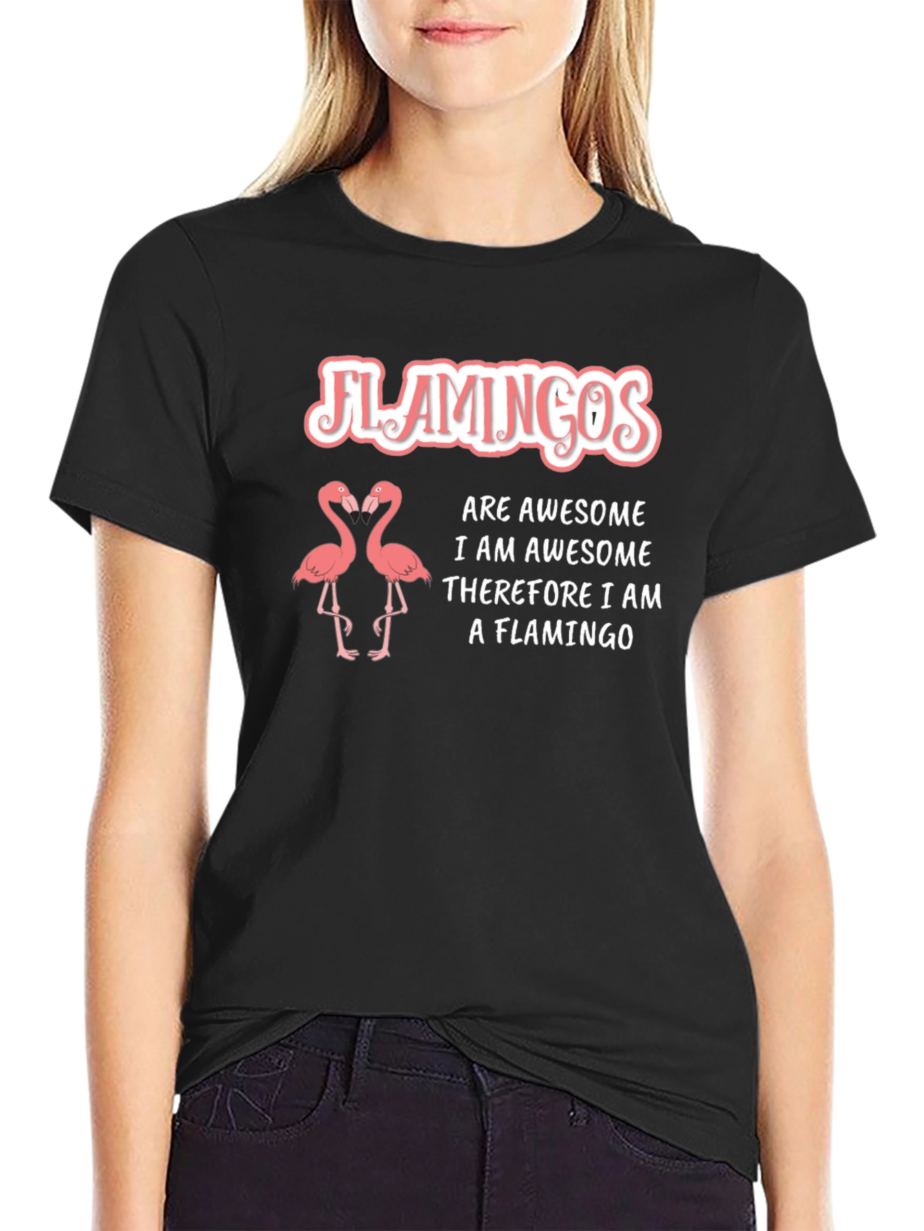 Flamingos Are Awesome T-Shirt - Funny Flamingo Tee