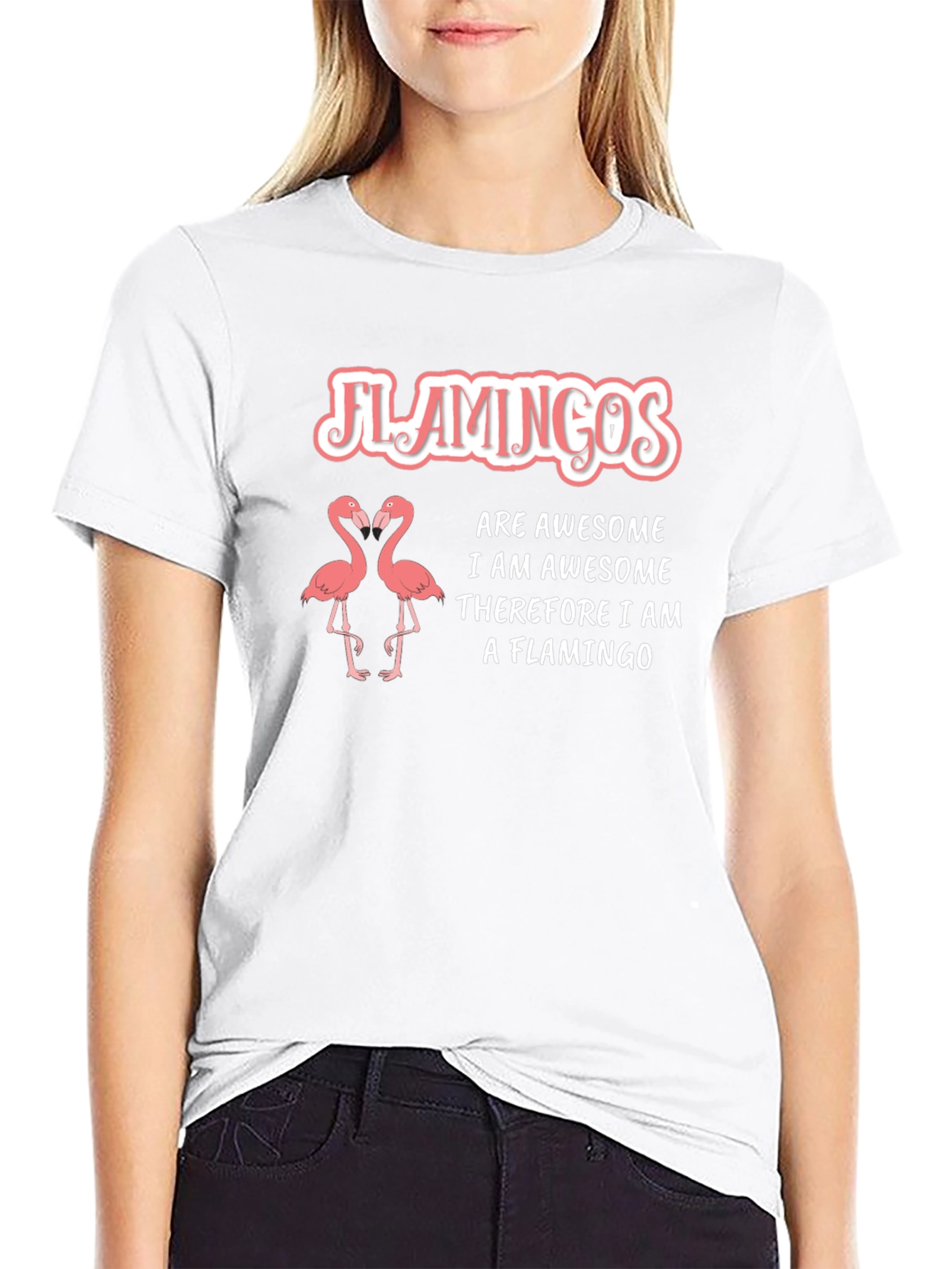 Flamingos Are Awesome T-Shirt - Funny Flamingo Tee