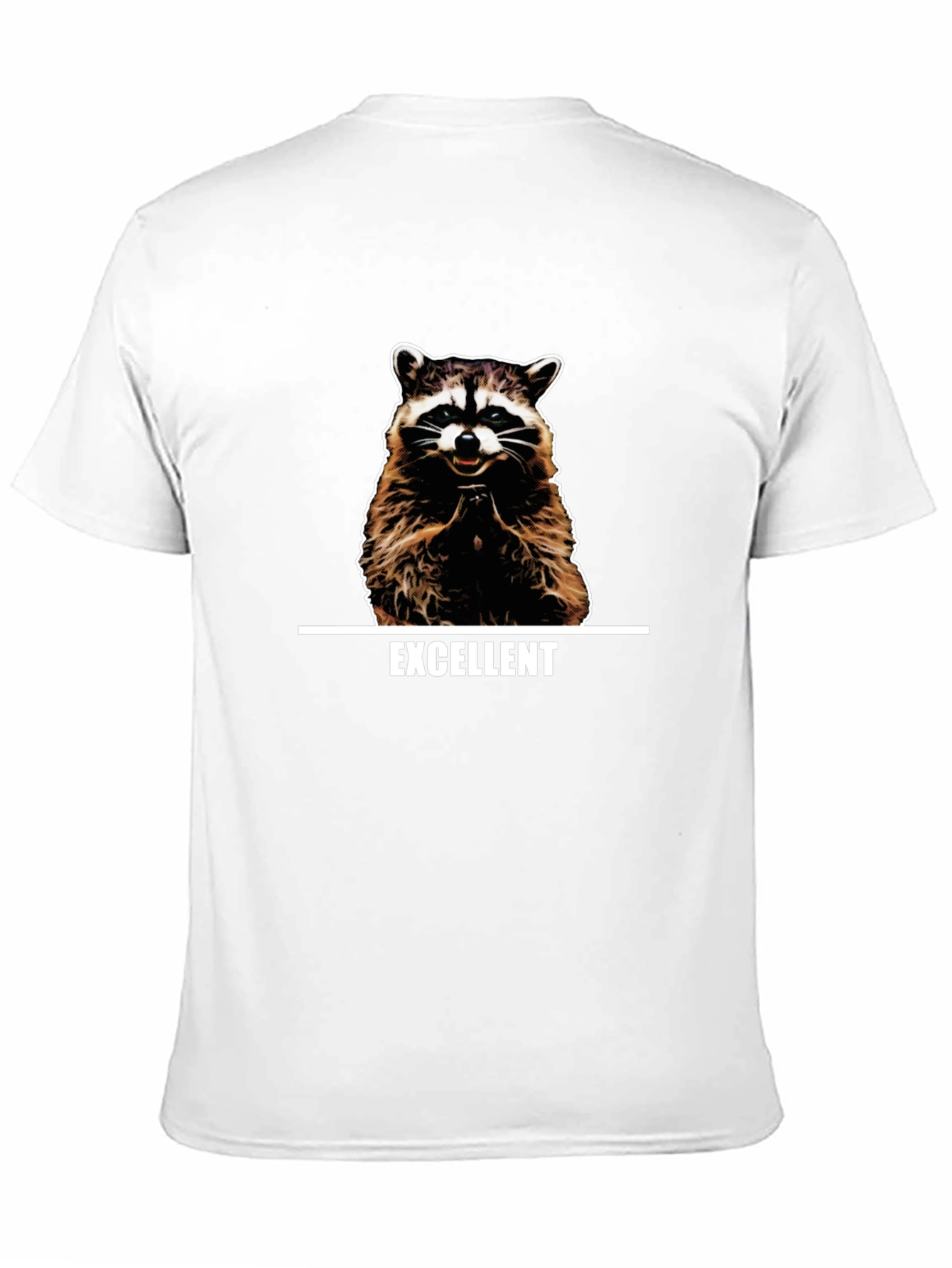 Excellent Raccoon Graphic T-Shirt