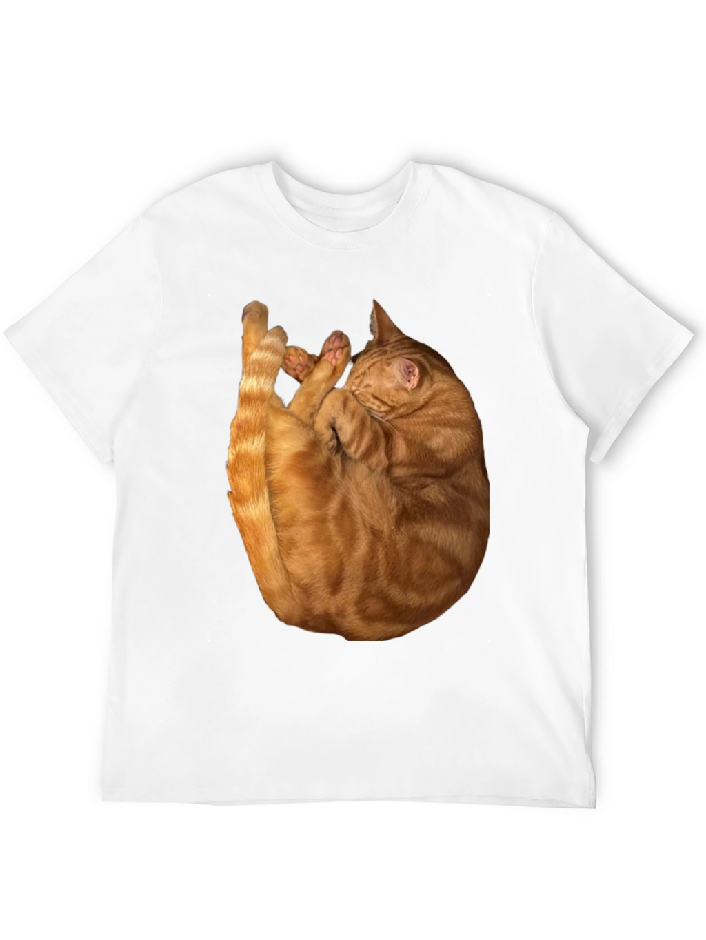 Cat Nap Graphic T-Shirt - Soft & Stylish