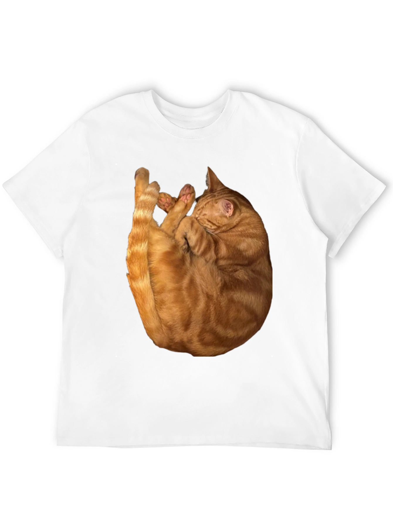 Cat Nap Graphic T-Shirt - Soft & Stylish
