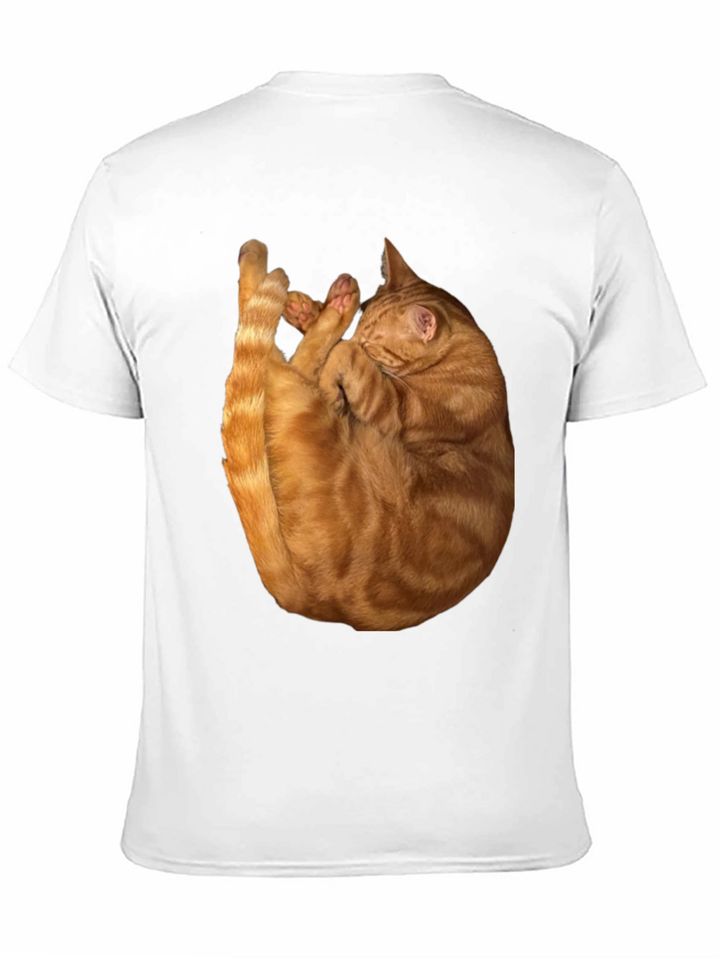 Cat Nap Graphic T-Shirt - Soft & Stylish
