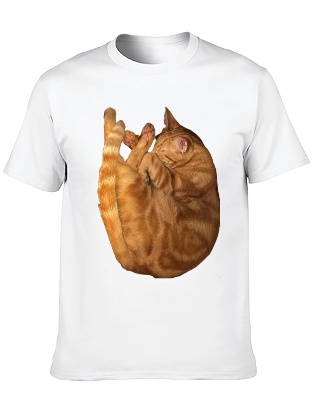 Cat Nap Graphic T-Shirt - Soft & Stylish