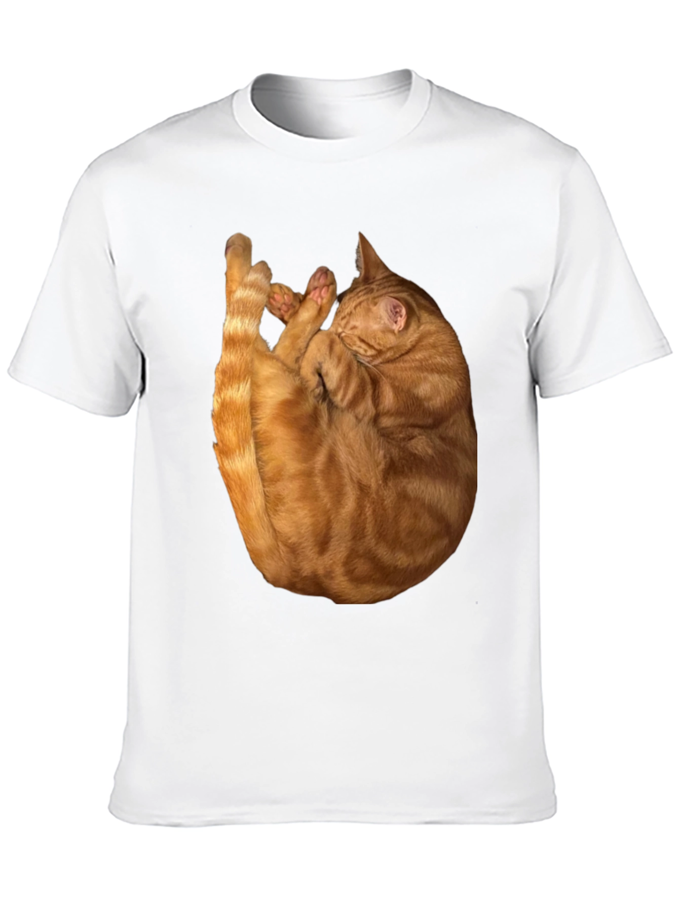 Cat Nap Graphic T-Shirt - Soft & Stylish