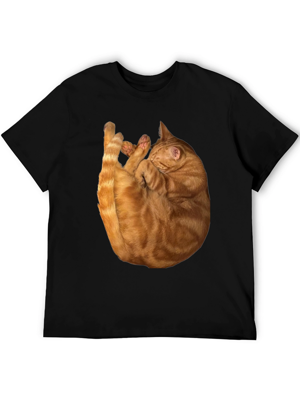 Cat Nap Graphic T-Shirt - Soft & Stylish