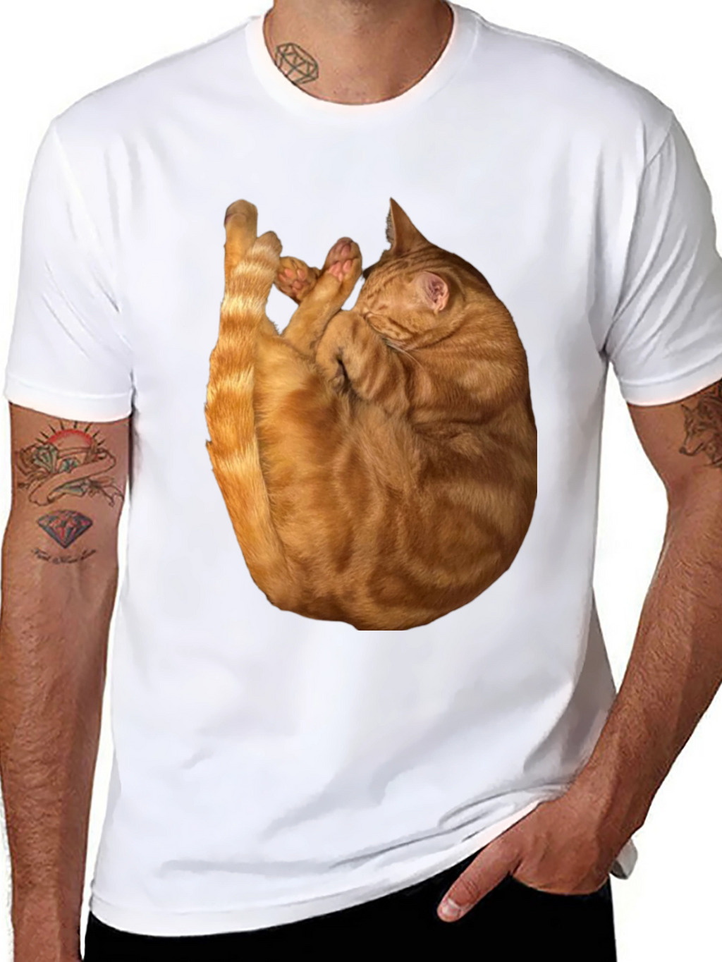 Cat Nap Graphic T-Shirt - Soft & Stylish