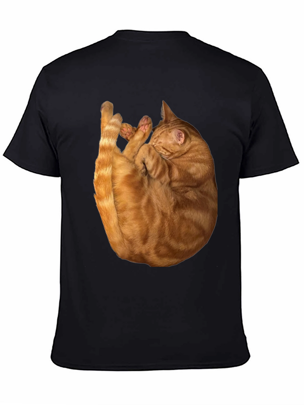 Cat Nap Graphic T-Shirt - Soft & Stylish