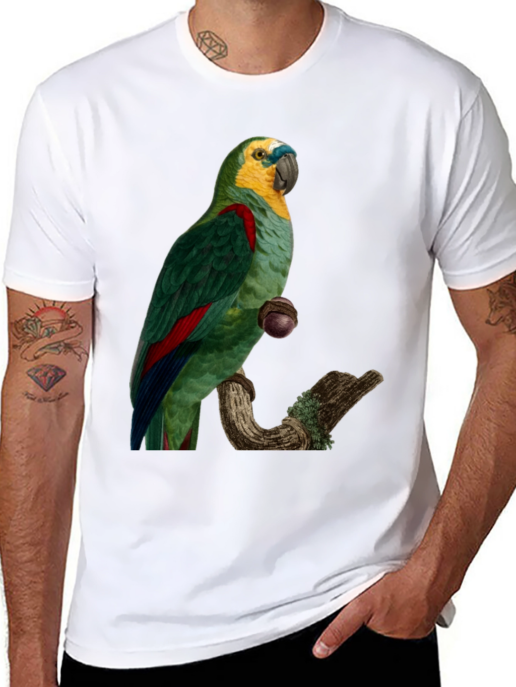 Parrot Graphic Print T-Shirt