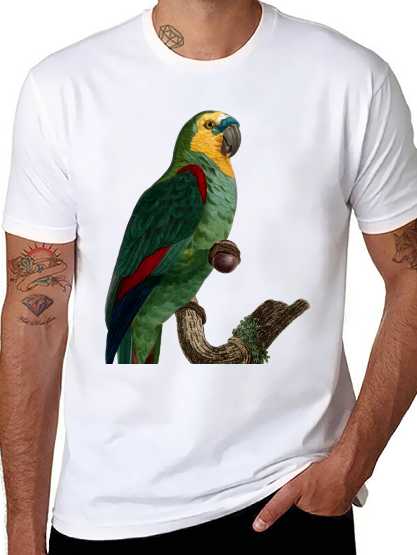 Parrot Graphic Print T-Shirt
