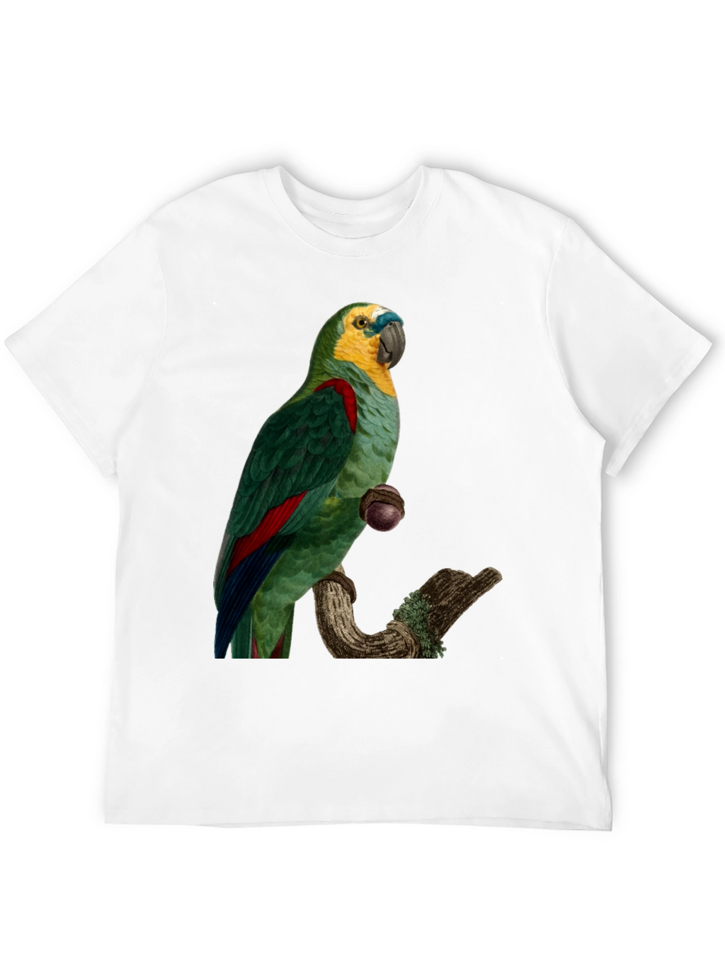 Parrot Graphic Print T-Shirt