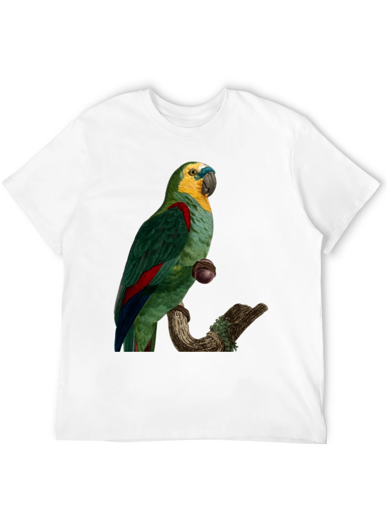 Parrot Graphic Print T-Shirt