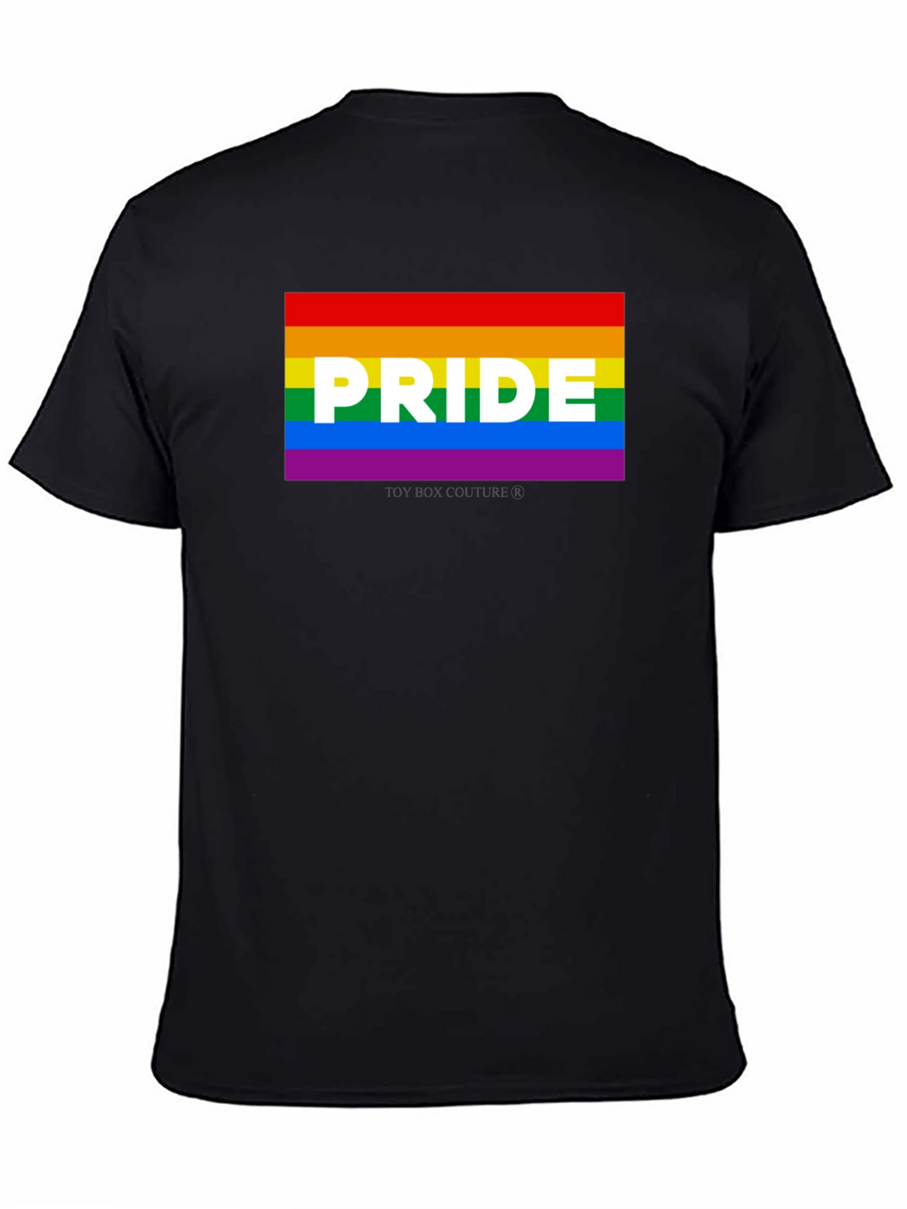 Pride LGBTQ Rainbow Graphic T-Shirt