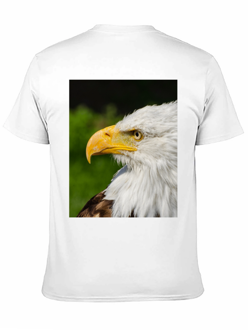Bald Eagle Graphic Tee - Patriotic Design