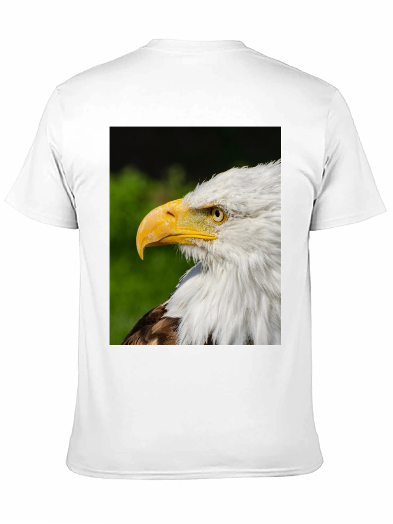 Bald Eagle Graphic Tee - Patriotic Design