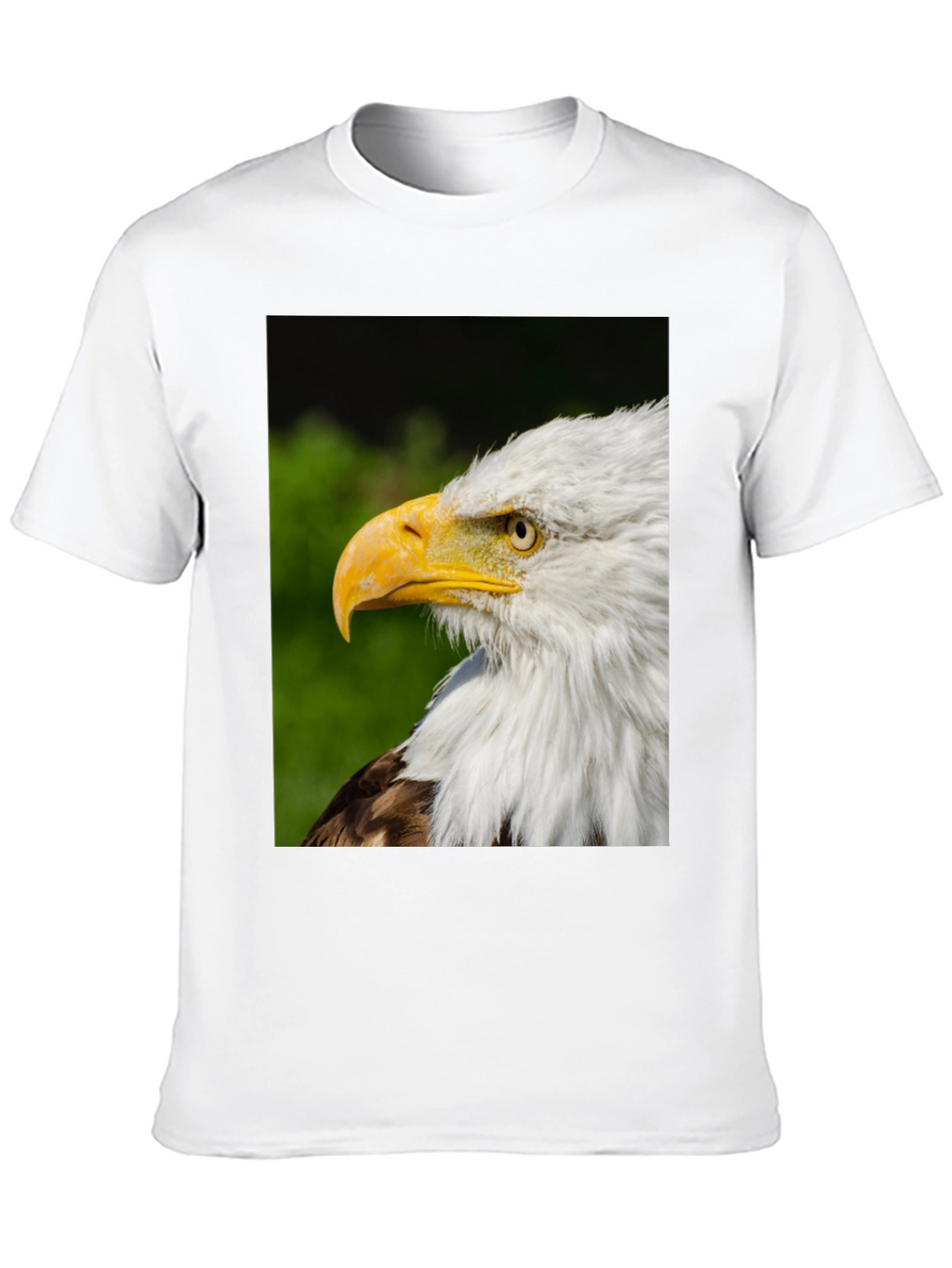 Bald Eagle Graphic Tee - Patriotic Design