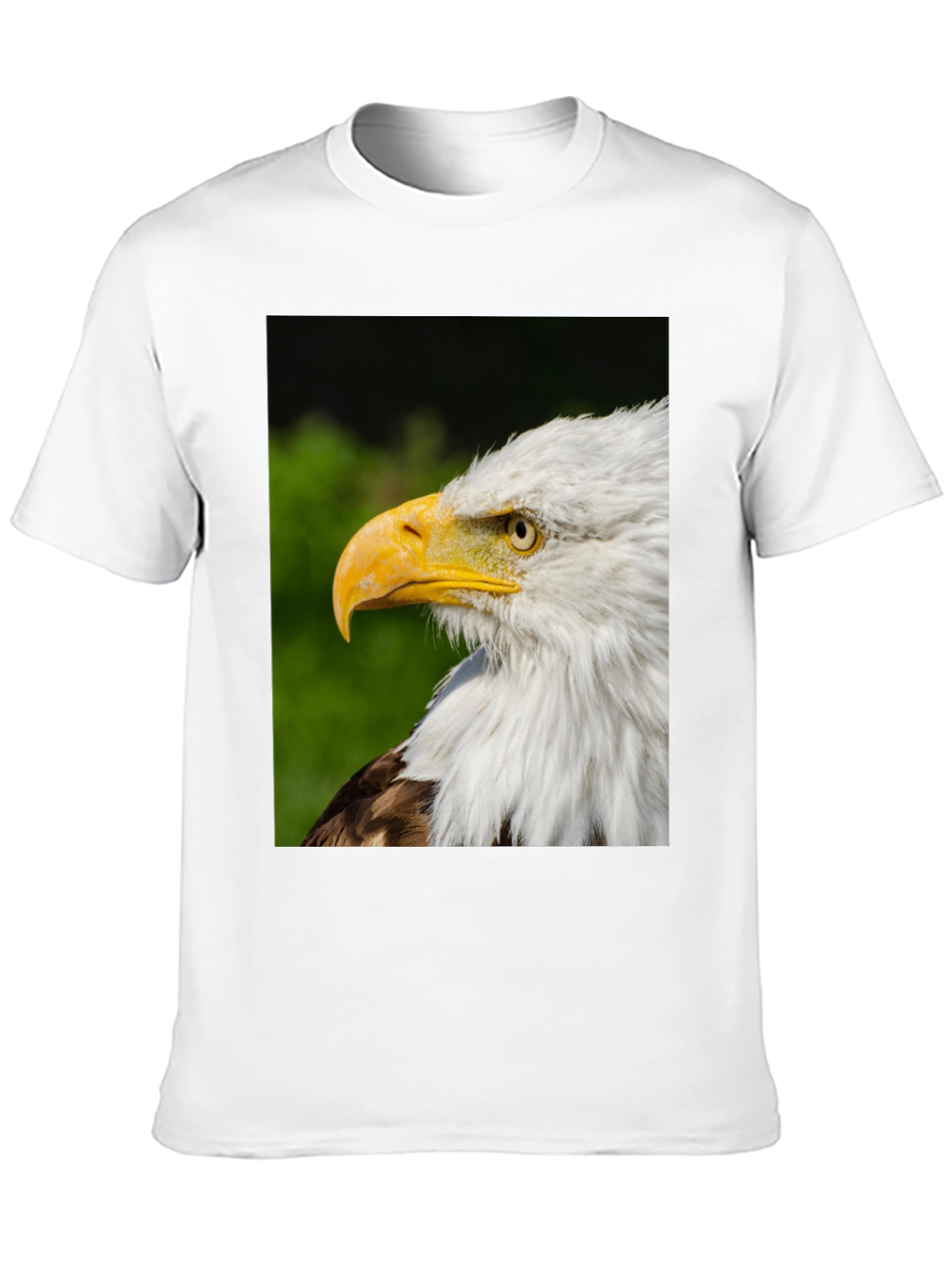 Bald Eagle Graphic Tee - Patriotic Design