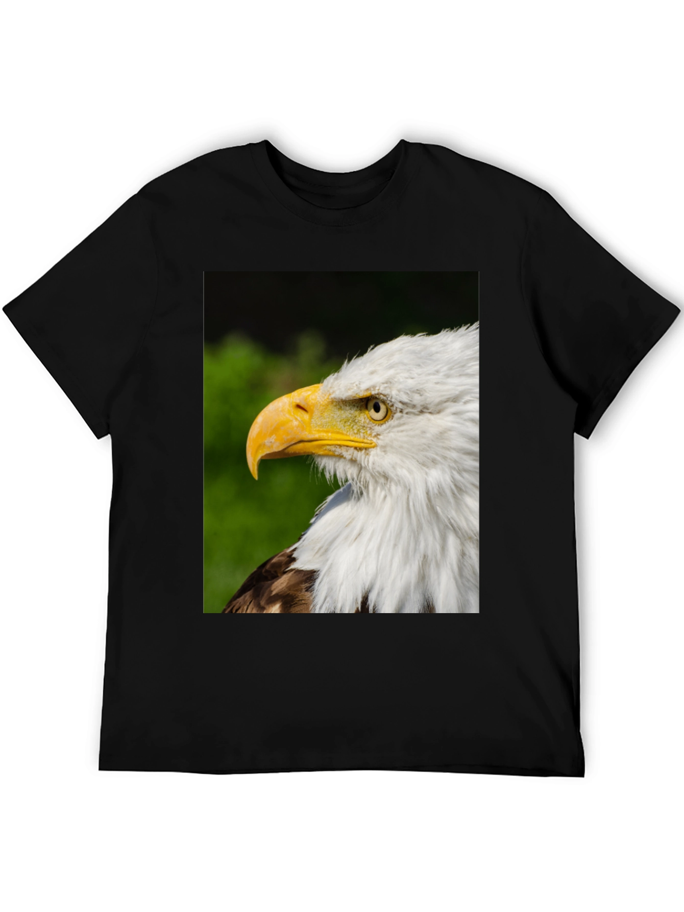Bald Eagle Graphic Tee - Patriotic Design