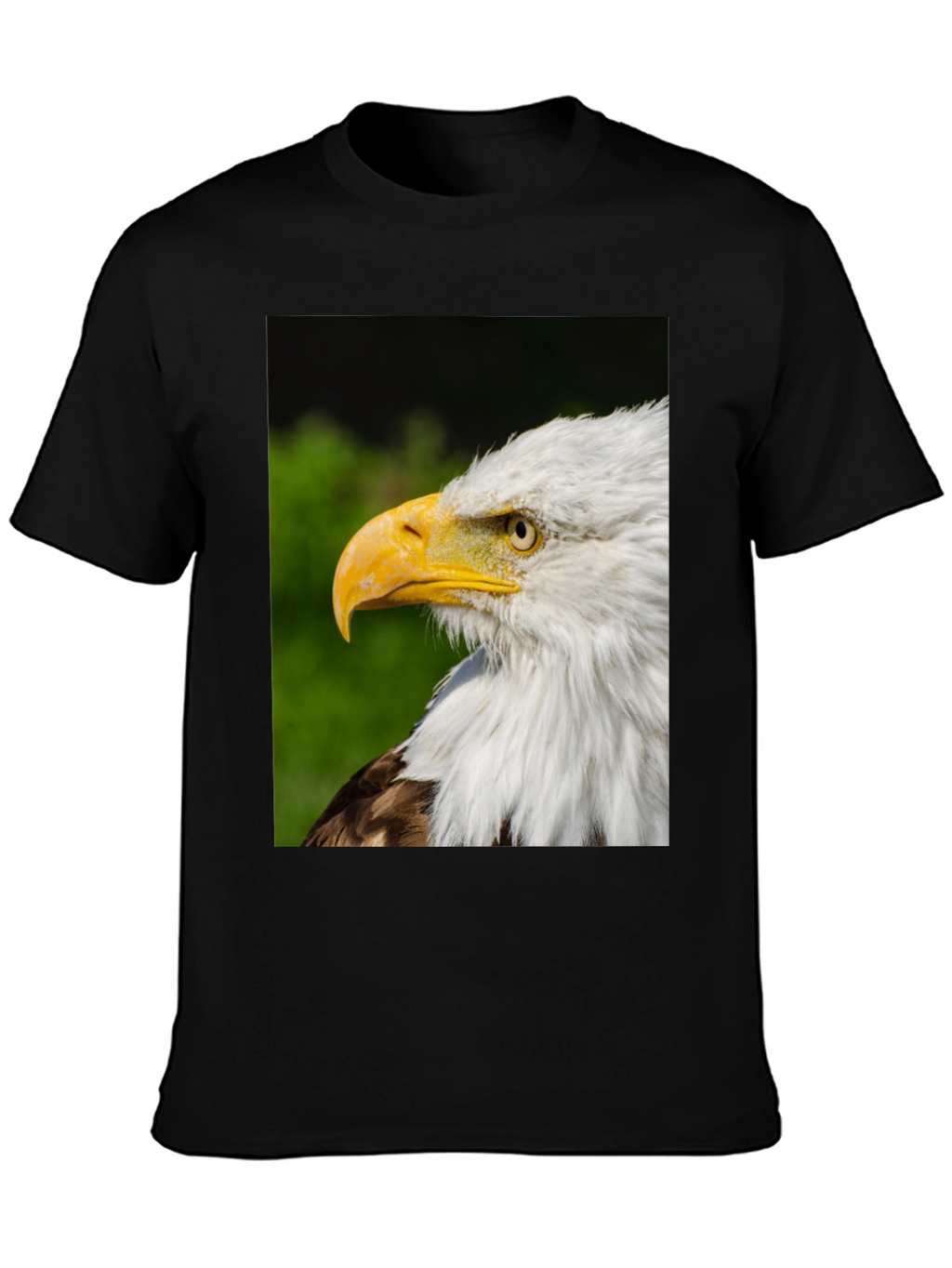 Bald Eagle Graphic Tee - Patriotic Design