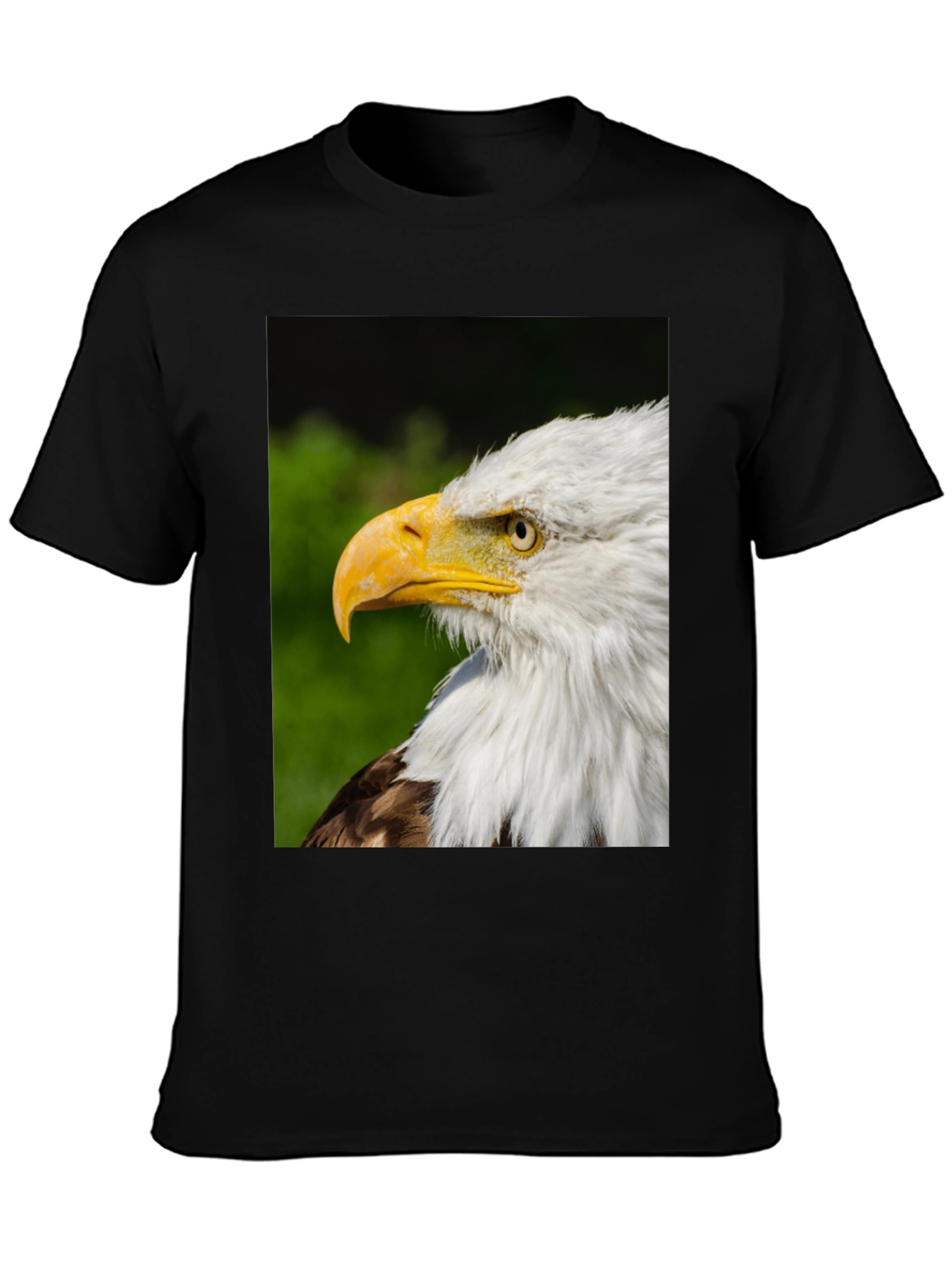 Bald Eagle Graphic Tee - Patriotic Design